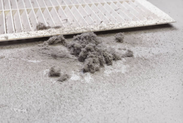 Best Air Duct Inspection  in Eastlake, OH