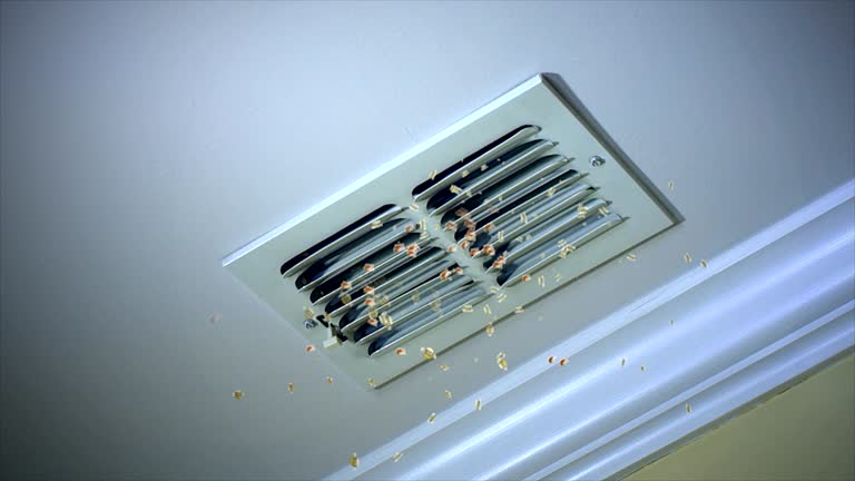 Best Dryer Vent Cleaning Services  in Eastlake, OH